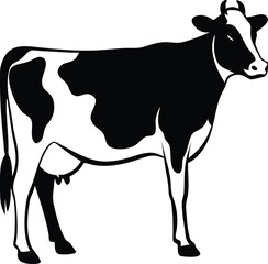 Black and white cow isolated on white background
