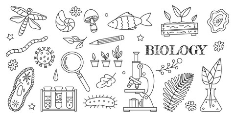 Hand drawn biological elements, molecules, animals and plants. Icons for biology lesson in doodle style for cover design, notebooks, textbooks, notepads. School poster or banner for biology lesson