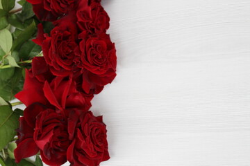 incredibly beautiful dark red roses, the favorite flowers of many people on our planet