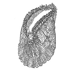 Victorian fashion line drawing women fashion accessories hat, scarf