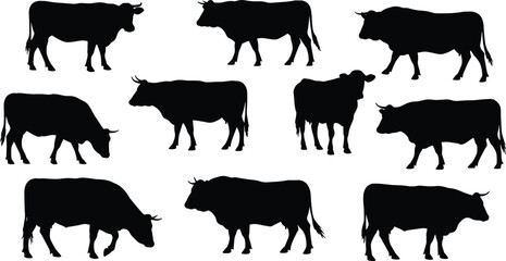Cow silhouette vector, standing cattle graphic, livestock farming illustration, animal pose design, black and white artwork, agricultural concept, nature theme, rural animal icon