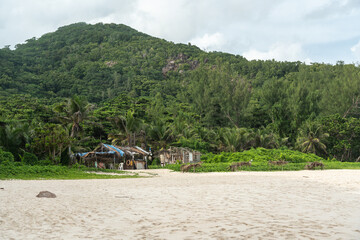 A handmade beach bar with palm roof stands on white sand near dense tropical jungle