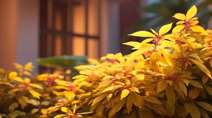 Vibrant yellow foliage illuminated by soft sunlight in a serene garden setting with blurred background