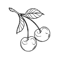 fresh cherries with leaves outline drawing