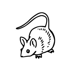 cute little mouse line art illustration