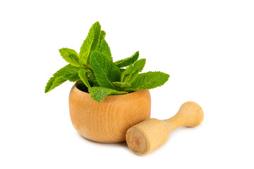 Fresh mint with mortar and pestle isolated on white background. Melissa leaves. Healing herbs green...