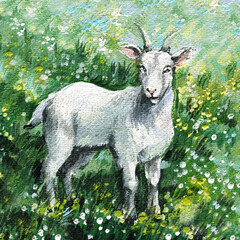 White goat acrylic painting standing in flower field with green grass for farmhouse decor or rustic children's room wall art