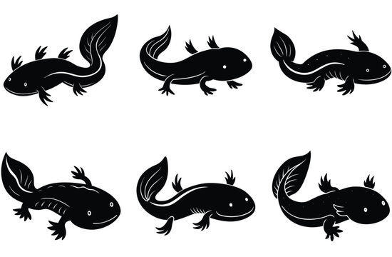 axoloti vector