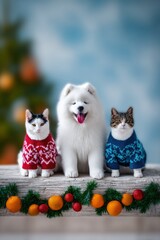Adorable Samoyed Dog and Two Cats in Festive Sweaters