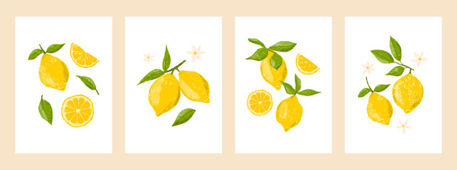 Lemons, flowers and leaves, vector crayon illustration set. Card, invitation or poster. Trendy hand drawn retro design for wall decor, postcard, cover, t shirt, prints