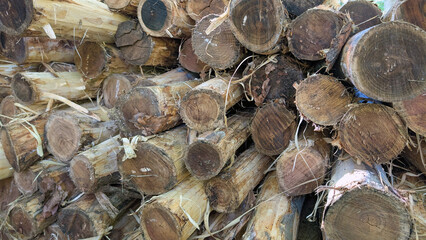Eucalyptus logs displaying layered cross sections, showcasing raw wood texture with natural bark...