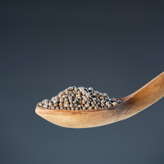 Dried coriander berries in natural wood spoon, ideal for seasoning, recipe preparation and kitchen concepts