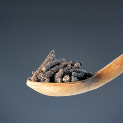 Traditional long pepper spice (Piper longum) arranged on wooden spoon against neutral background for culinary concept