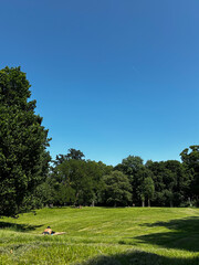 Rolling Green Hills and Trees in a European Park on a Sunny Summer Day