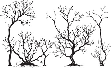 Obraz premium Set Trees. Hand drawn vector illustration 