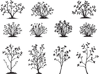 Set Trees. Hand drawn vector illustration	