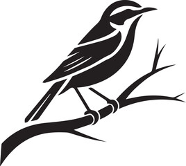 bird, flying, feather, wing, flight, nature, freedom, beak, wild, sky, perch, soar, animal, avian, migration, songbird, nest, wildlife