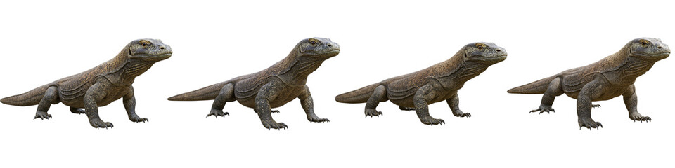 Obraz premium Komodo Dragons: A captivating shot of four komodo dragons in various stages of movement, offering a glimpse into their unique form.