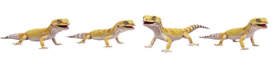 Obraz premium Leopard Gecko Parade: A series of playful leopard geckos, exuding a lively energy, parade across the frame, displaying their striking spotted patterns. Evoking joy and the wonders of nature.