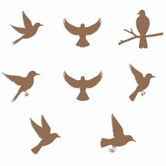Obraz premium Brown Bird Silhouettes in Flight and Perched on Branch Collection Isolated on White