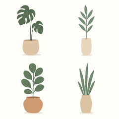 House plants in pots. Element for design house, room or office. Isolated element on white background.
