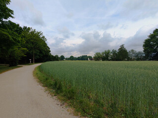 Obraz premium Waldweg, See, Natur, Landschaft, Wald, Park, Holzbrücke, Wanderweg