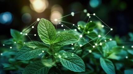 Ethereal Mint: Lush, vibrant mint leaves, illuminated by a network of glowing connections, showcase the convergence of nature and technology. A celebration of growth, health.