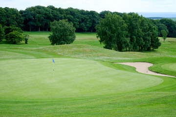 Fototapeta premium Smooth grassy area of a golf course, trees in the background