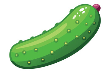 Fresh cucumber displayed in vibrant green color on white background for food illustrations and recipes