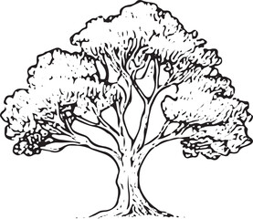 A detailed black-and-white illustration of a lush, full tree with intricate branches and leaves, showcasing natural beauty and fine line work, perfect for nature-themed designs, prints, or educational