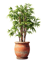 Obraz premium Elegant potted bamboo plant on transparent background showcasing serene indoor greenery