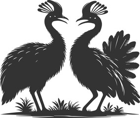 Vector bird cassowary black drawing animal silhouette