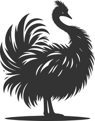 Vector bird cassowary black drawing animal silhouette