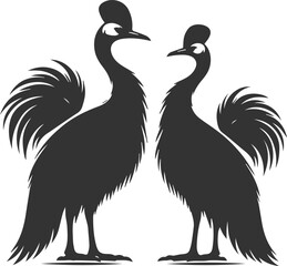 Vector bird cassowary black drawing animal silhouette
