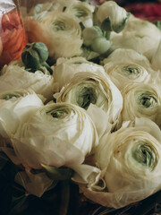 White ranunculus