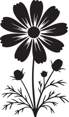 flower, bloom, petal, nature, spring, flora, blossom, garden, bud, botanical, scent, leaf, daisy, tulip, rose, lily, hibiscus, 