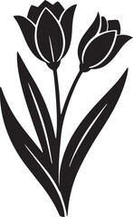 flower, bloom, petal, nature, spring, flora, blossom, garden, bud, botanical, scent, leaf, daisy, tulip, rose, lily, hibiscus, 