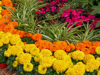 Buntes Blumenbeet