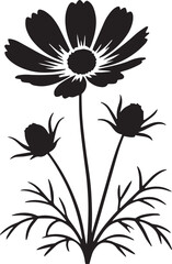 flower, bloom, petal, nature, spring, flora, blossom, garden, bud, botanical, scent, leaf, daisy, tulip, rose, lily, hibiscus, 