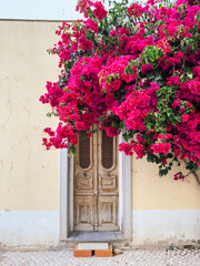  A bougainvillea covered entrance door to a home in Olhao in the Algarve, Portugal