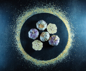 Garlic fresh and in the form of a spice isolated on a dark background art