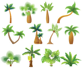 Tropic palm trees isolated. Exotic palm tree set vector illustration