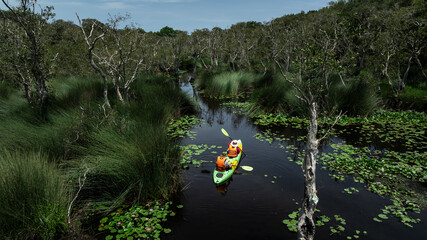 Travel Kayaking Paddling Transparent Canoe Kayak in peat swamp forest wetlands in mornine time,...