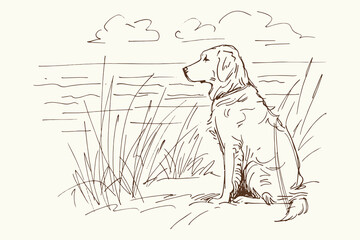 Golden retriever at lake shore sketch vector illustration