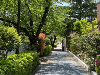神田川4月：緑あふれる遊歩道 2025/4/21