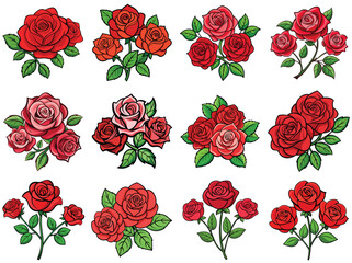 Roses vector illustration isolated on white background.