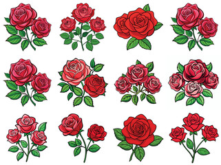 Roses vector illustration isolated on white background.