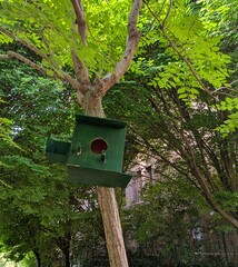 Casa de pájaros rústica colgada en un árbol de un parque público 