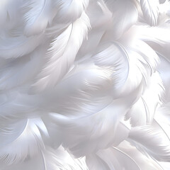 white feather ,isolated on transparent background png