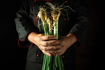 Hands of a chef grasp fresh green onions with roots intact, illustrating the importance of using...
